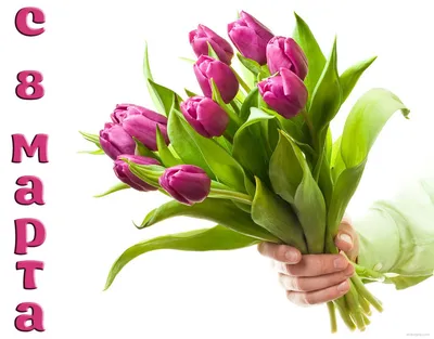 Поздравление с 8 марта: лучшие пожелания и картинки для женщин - Радіо  Незламних