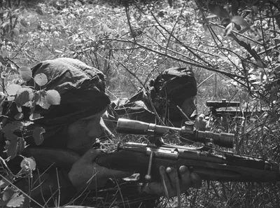 Канадский снайпер воющий в Украине: «Русские не образцовые воины» — Россия,  Украина, — Netgazeti.ge