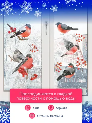 Картинки снегири в снегу для детей (60 фото) » Картинки и статусы про  окружающий мир вокруг