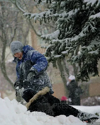 счастливые друзья семьи мама и дети веселятся на свежем воздухе в зимний  снегопад. Мама и двое мальчиков играют Стоковое Изображение - изображение  насчитывающей дети, семья: 262175913