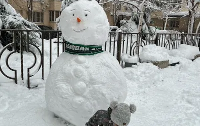 Снеговик светящийся - купить недорого в интернет-магазине Фран по цене от  26990 руб