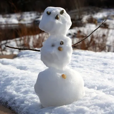 12-метровый снеговик из Шерегеша вошел в Книгу рекордов России: как  выглядит снеговик и что с ним дальше будет - 15 февраля 2022 - ngs42.ru