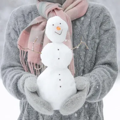 Снеговик с подсветкой RGB - Купить в Новосибирске от компании ПолиТим