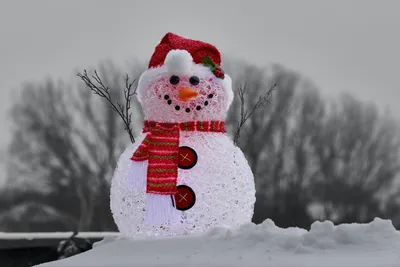 Гигантский снеговик из Подмосковья попал на видео - Мослента