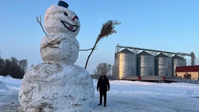 Брошка снеговик купить в интернет магазине в Москве