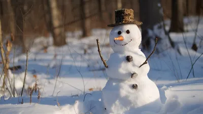 Костюм ростовая кукла Снеговик взрослый f64987 купить в интернет-магазине -  My-Karnaval.ru, доставка по России и выгодные цены
