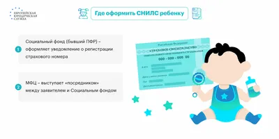 СНИЛС в 2024: что это, как получить в МФЦ, В ПФР, у работодателя