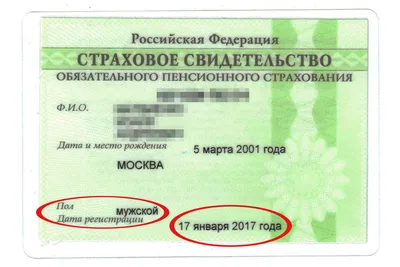 В ЛНР начали выдавать печатные варианты СНИЛС - РИА Новости, 14.10.2022
