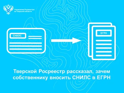 Как и где получить СНИЛС взрослому или ребенку в Перми? Что делать, если  потерял СНИЛС? - 11 августа 2020 - 59.ru