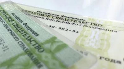 Свыше 865 тыс. жителей ДНР получили СНИЛС - Общество - ДАН