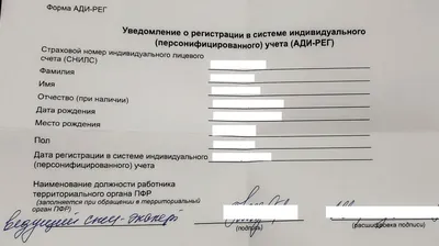 Карточка СНИЛС нового образца теперь не содержит информации о смене пола |  24.11.2016 | Йошкар-Ола - БезФормата