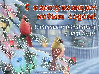 Открытка. С Новым годом! Елка (М. Кухтина) купить книгу с доставкой по цене  59 руб. в интернет магазине | Издательство Clever