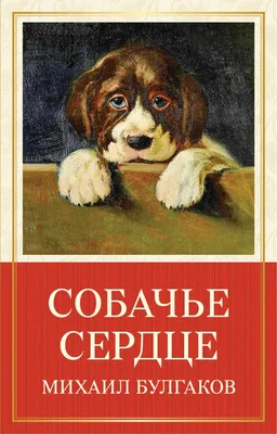 Купить книгу «Собачье сердце», Михаил Булгаков | Издательство «Азбука»,  ISBN: 978-5-389-01364-3