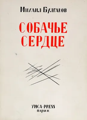 Спектакль \"Собачье сердце\" во Владивостоке 13 сентября 2023 в Театр Молодежи