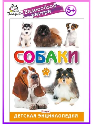 Конспект занятия для детей средней группы детского сада (4–5 лет)  «Составление рассказа по картине «Собака со щенятами» (1 фото).  Воспитателям детских садов, школьным учителям и педагогам - Маам.ру