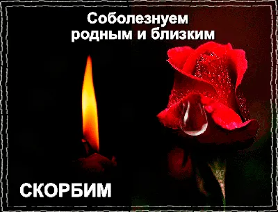 Руководители Краснодара выразили соболезнования родным погибших и слова  поддержки пострадавшим в Ейске :: Krd.ru