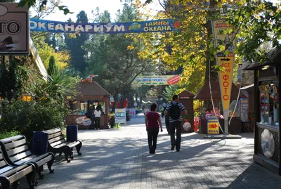 Фото: Пик Брежнева, горная вершина, Краснодарский край, городской округ Сочи,  Хостинский район — Яндекс Карты