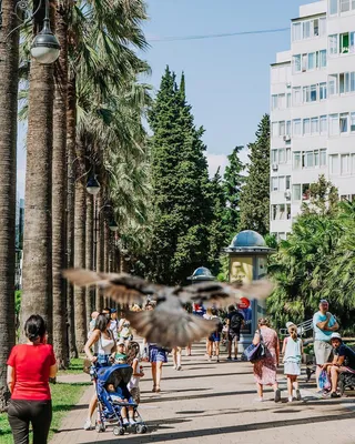 Места для фотосессий в Сочи - ТОП 20. Красивые фотосессии в Сочи