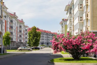 Отель «Лес арт Резорт» | Московская область официальный сайт цены на 2024  год