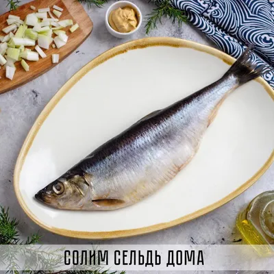 🔝Доставка рыбы завода РИФ on Instagram: “🎄Засолка и маринование сельди -  домашние способы. ❤️сохраняйте, пригодится. Сухой пос… | Маринование, Рыба,  Морепродукты