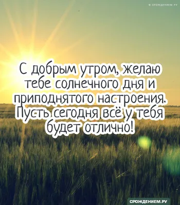 Женщина Ходить В Одиночку В Парке В Течение Осеннего Солнечного Дня —  стоковые фотографии и другие картинки 30-39 лет - iStock