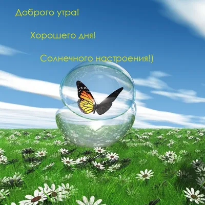 Купить ветерок с фольгой Солнечного настроения», 42 см, цены в Москве на  Мегамаркет | Артикул: 100049183998