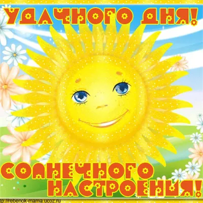 Открытка-комплимент «Солнечного настроения», 8 × 6 см зелёный -  СМЛ0002732834 - оптом купить во Владивостоке по недорогой цене в  интернет-магазине Стартекс