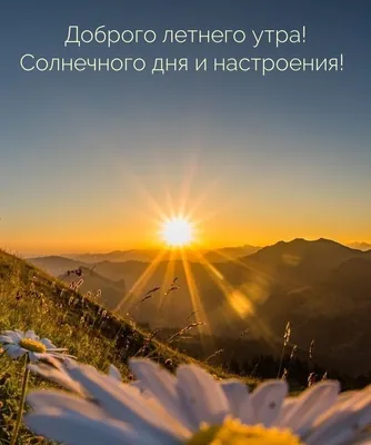 Картинка \"С добрым утром! Желаю тебе солнечного дня и приподнятого  настроения..\" • Аудио от Путина, голосовые, музыкальные