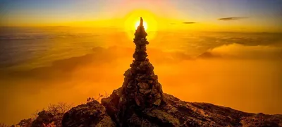 Красивый восход солнца над горохом поля Стоковое Изображение - изображение  насчитывающей горох, горизонт: 96424613