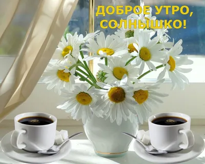 Картинки с добрым утром с солнышком для друзей (43 фото) » Красивые  картинки, поздравления и пожелания - Lubok.club