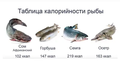 Детский диетический продукт -клариевый сом » FISH-AGRO | Проектирование и  поставка оборудования для рыборазведения в УЗВ | +7-499-390-15-50