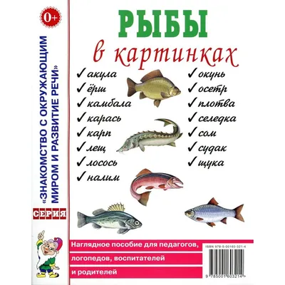 Раскраска сом - распечатать и скачать бесплатно для детей - В мире сказки!