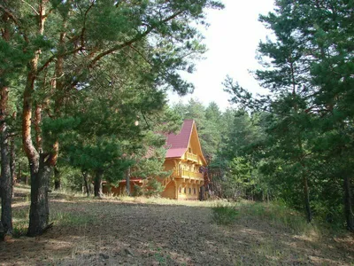 Домклик — поиск, проверка и безопасная сделка с недвижимостью в Нижнем  Новгороде