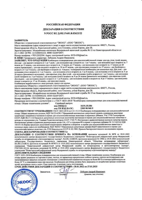 Базы отдыха в с. Сомовке (Нижегородская область), Нижегородская область —  цены 2024, турбазы, отзывы
