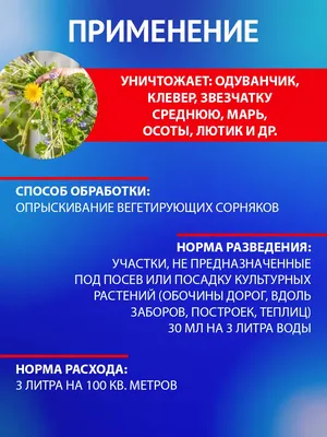 Как избавиться от сорняков в огороде: как избавиться от мокрицы, пырея,  осота в огороде - 11 июня 2023 - ЧИТА.ру