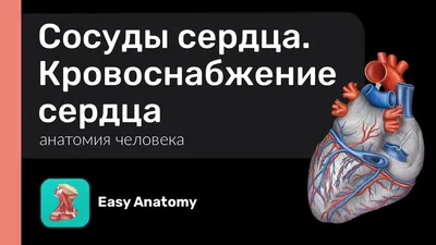 Комплекс для сосудов и сердца №60 (капс.) - инструкция, состав, цена на  официальном сайте Consumed