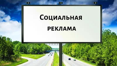 Это раны на теле города»: в автобусах Петербурга появилась социальная  реклама о вреде граффити | Sobaka.ru