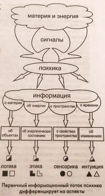 Соционические типы в картинках • Социофорум - бесплатное обучение онлайн