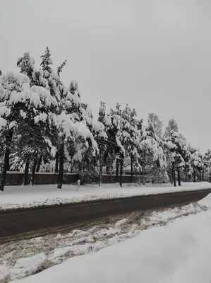 ВСЯ ВСЕЛЕННАЯ СОЗДАНА ПОД ЧЕЛОВЕКА» | \"Сибирская католическая газета\"