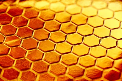Медовые соты с пчелами Stock Vector | Adobe Stock