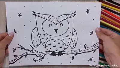 Девушка и сова, рисунок карандашом | Пикабу