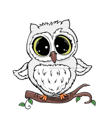 Сова карандашом owl in pencil | Рисунок совы, Милые рисунки, Рисунки