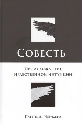 Что такое совесть? | Польза+ | Дзен