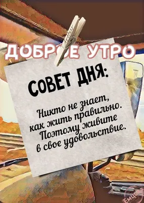 Совет дня | Позитивные цитаты, Вдохновляющие цитаты, Веселые мысли