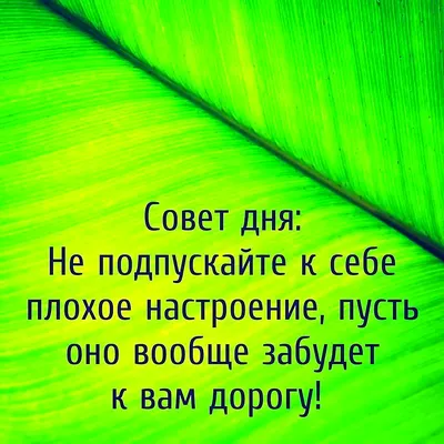 Совет дня...