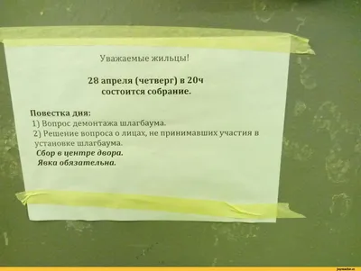 СОВЕТ ДНЯ: ВОЗБУЖДЕННЫЕ - БЕРЕГИТЕ НЕРВЫ. СПОКОЙНЫЕ - НЕ БЕСИТЕ ВСЕХ.  осторожно, злые СЕ! - ) / Ай… | Юмористические цитаты, Позитивные цитаты,  Смешные высказывания