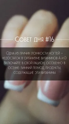 Совет дня