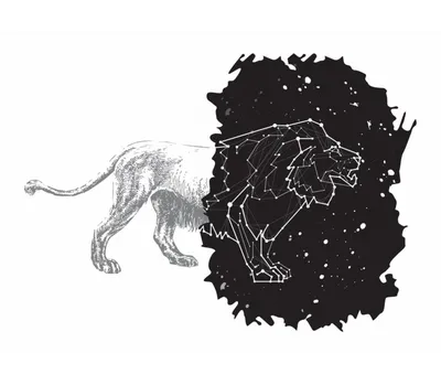 Картинки лев и звездное небо (66 фото) » Картинки и статусы про окружающий  мир вокруг