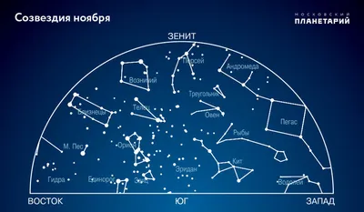 Лев И Звездное Небо Король Среди Звезд — стоковые фотографии и другие  картинки Африка - Африка, Глаз, Глаз животного - iStock