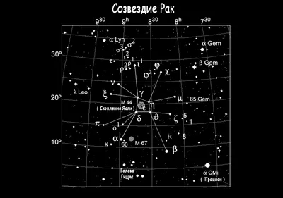 Созвездие рака картинки